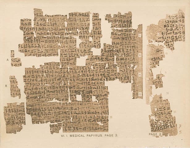 Papyri Kahun Vl