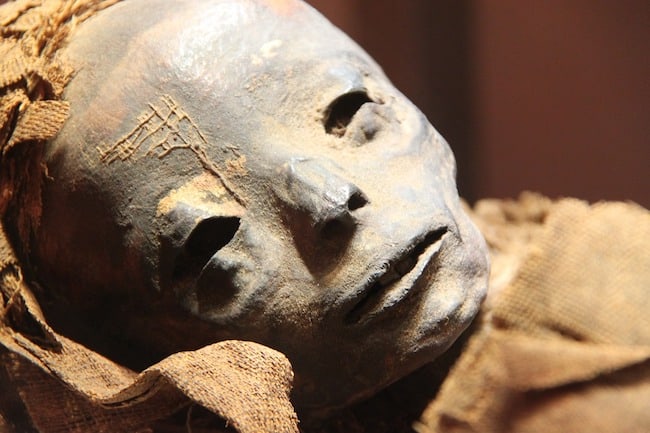 Kopf einer Mumie.