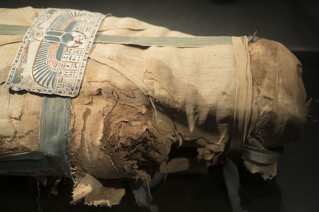 Mumifizierung: Herzskarabäus im Brusthöhe der Mumie