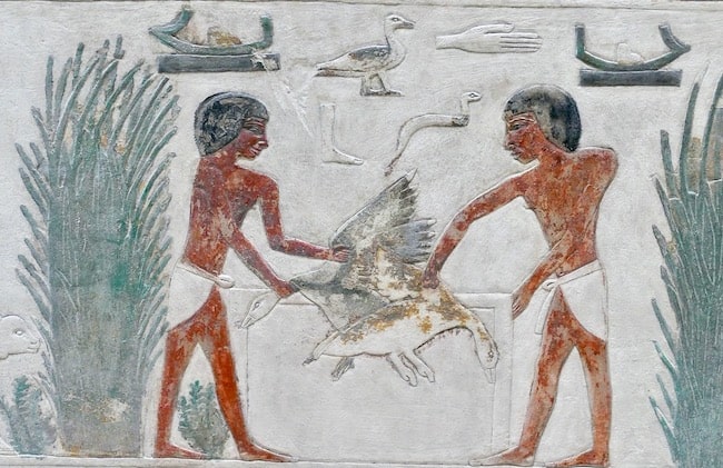 Jagd im Papyrus