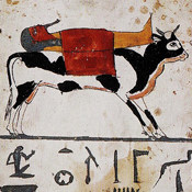 Ägyptischer Tierkult: Heilige Tiere - Apis der Stier