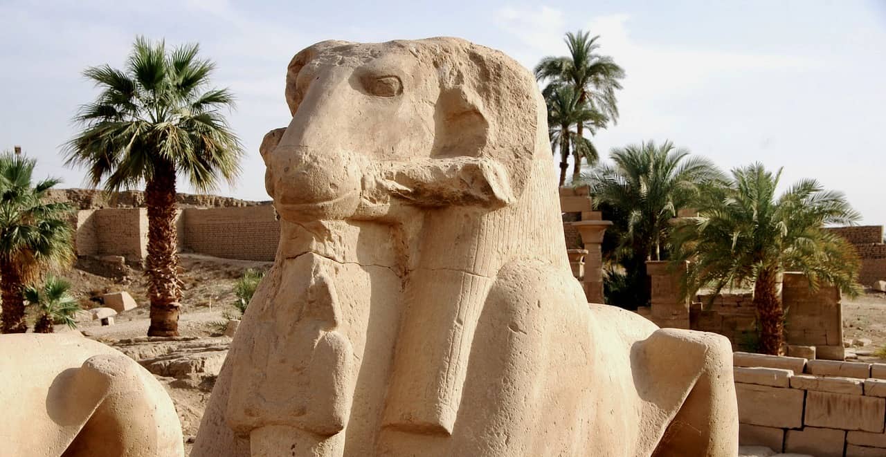 Widdersphinx