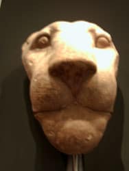 Tierkult im Alten Ägypten - Löwenkopf