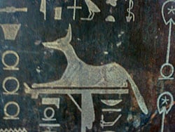 ägyptisches Tierlexikon - Schakal