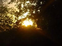 ägyptischer Sonnengott Re - Lebensspender