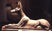Ägypten-Götter - Anubis - Totengott