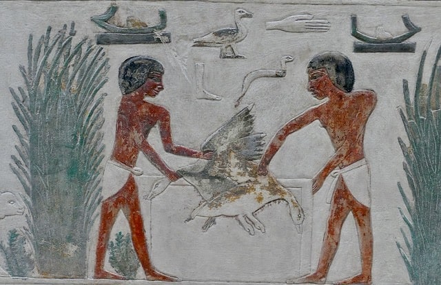 Gänse als Tieropfer im Alten Ägypten.